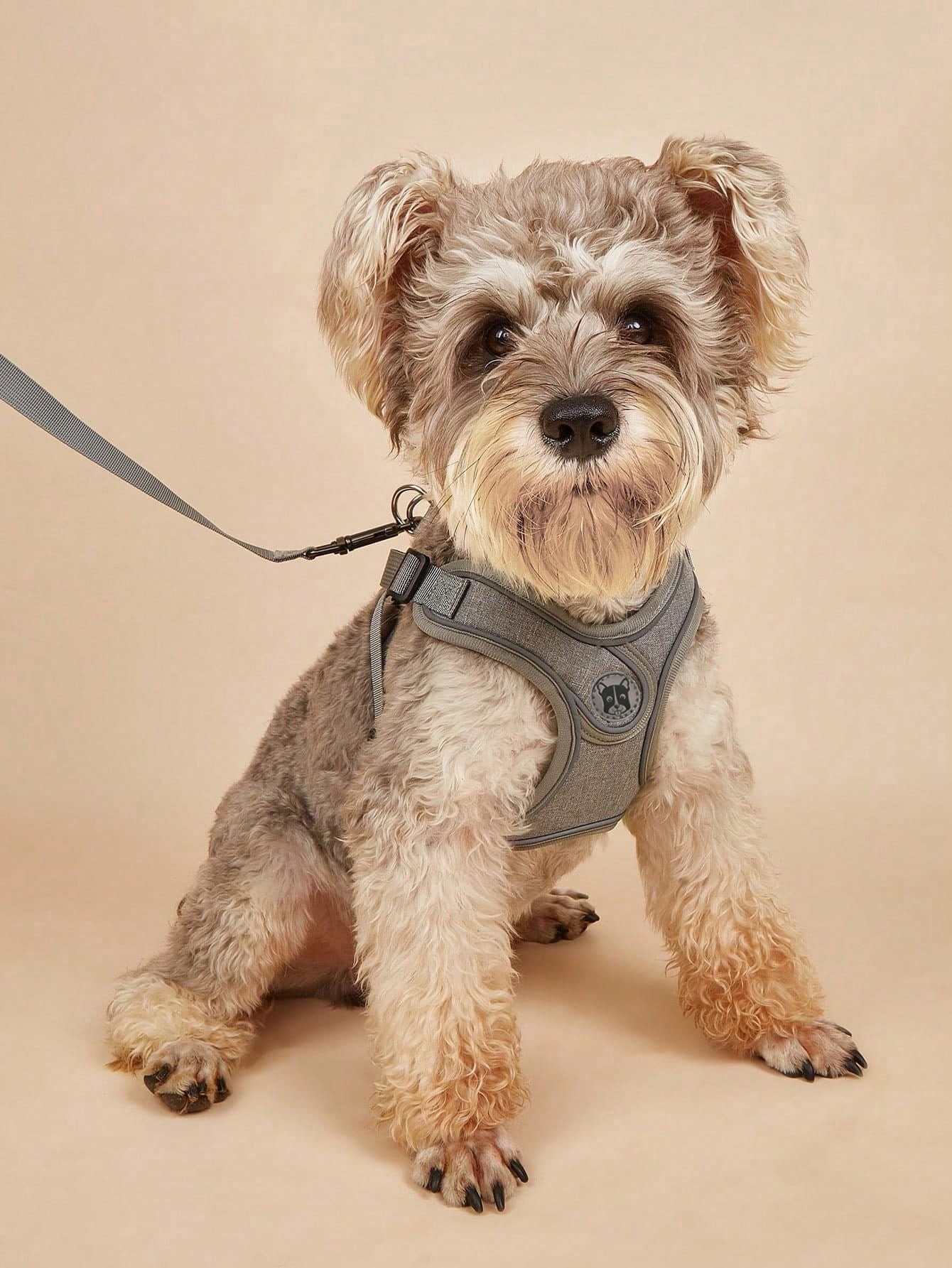 Running Gear Dog - Hondentuig voor kleine en middelgrote honden,