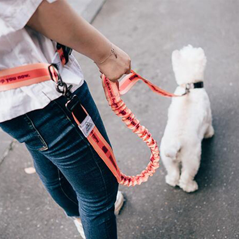 Verstelbare Handvrije Hondenri - Running Gear Belt recensie en prijs