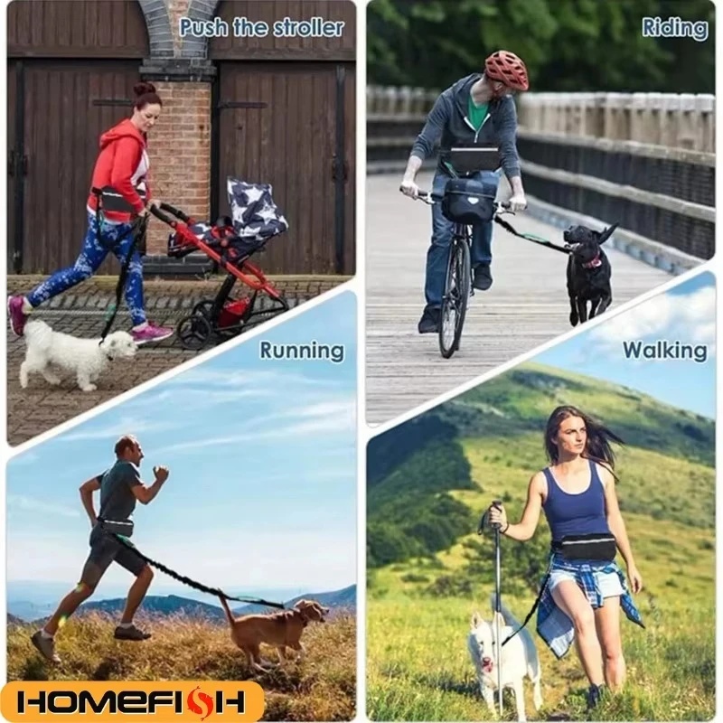 Handsfree reflecterende honden - Running Gear Dog recensie en prijs