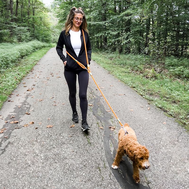 Reflecterende handsfree honden - Running Gear Belt recensie en prijs